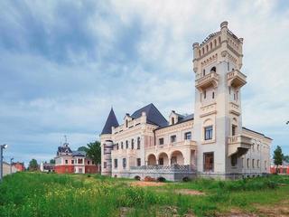 Дворец-замок Понизовкиных