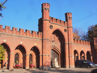 Росгартенские ворота