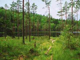 Национальный парк «Смоленское Поозёрье»