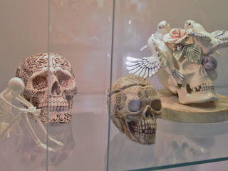 Музей черепов и скелетов