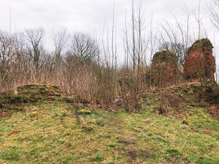 Руины замка Фишхаузен
